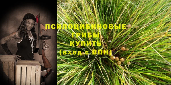 синтетический гашиш Алексин