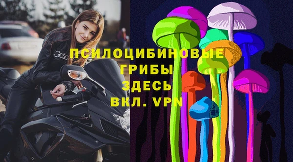сатива Алексеевка