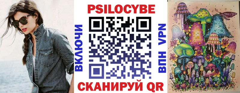 Купить где  Хотьково  Псилоцибиновые грибы Psilocybine cubensis 